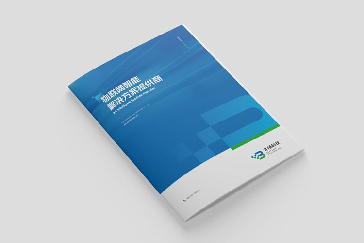 物聯(lián)網(wǎng)科技公司畫(huà)冊(cè)設(shè)計(jì)